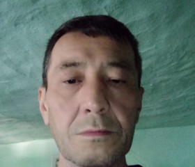 Ulugbek Karimov, 51 год, Toshkent