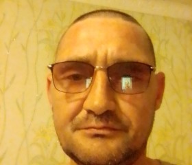 Миша Тимофеев, 43 года, Тверь