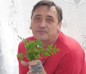 сергей, 56 лет, Рязань