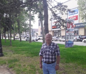 Владимир, 70 лет, Выселки
