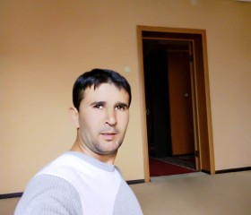 Шер, 29 лет, Орехово-Зуево