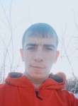 Коля, 29 лет, Железногорск (Красноярский край)