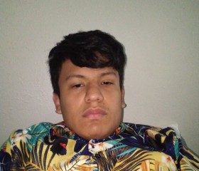 Fh, 20, Plano
