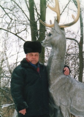sergey, 71, Россия, Раменское