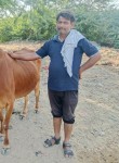 Suresh, 25 лет, Bikaner