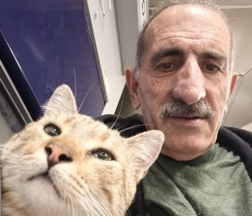 Keçeli can, 64, Istanbul