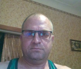 Саша, 47 лет, Кольчугино