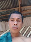 Jonathan parohin, 37 лет, Tagum