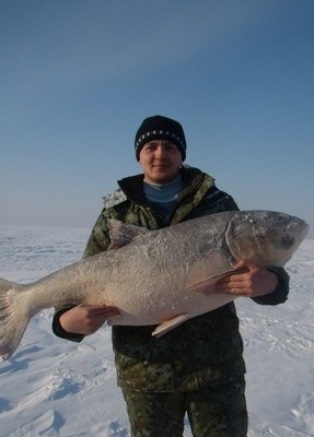Ruslan, 35, Россия, Анапа