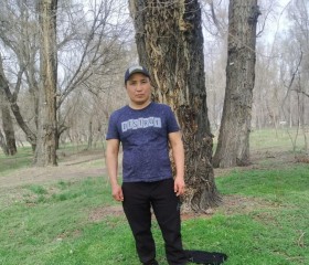 Улан бек, 39 лет, Бишкек