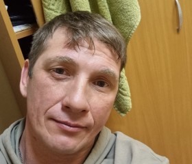 Олег, 45 лет, Тарко-Сале