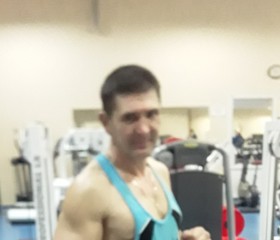 Кирилл, 52 года, Брянск
