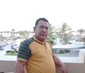 Ashraf Sankry, 49 лет, الغردقة
