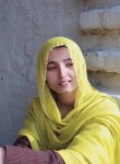 Reena, 23 года, Jaisalmer