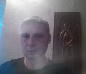 Владимир, 42 года, Вологда