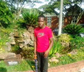 Steven Katsidzir, 29 лет, Harare
