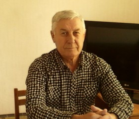 Анталий, 71 год, Георгиевск