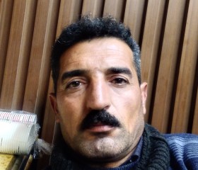 Karwan, 48 лет, بغداد