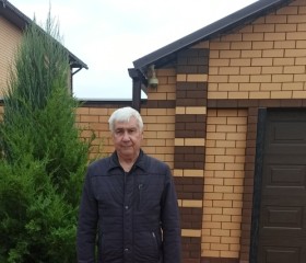 Анатолий, 66 лет, Строитель