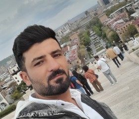 hamed, 30, Yerevan