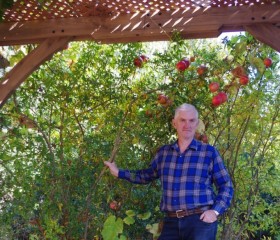 Dimitry, 55, Los Angeles