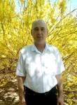 виктор, 54 года, Волгоград