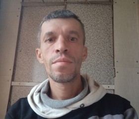 Дмитрий, 46 лет, Херсон