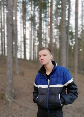 Даниил, 25, Россия, Олонец