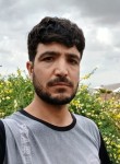 احمد جاوید, 18 лет, شیراز