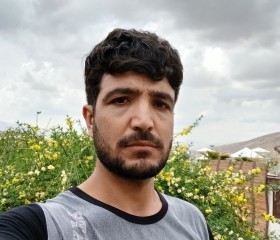 احمد جاوید, 19, Shiraz