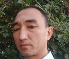 Suxrob Satarov, 49 лет, Toshkent