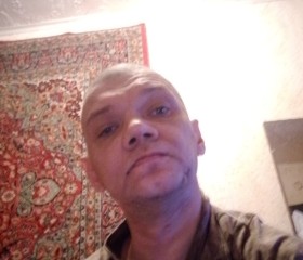 Анатолий, 44 года, Ирбит