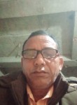 chandat singh, 49 лет, New Delhi