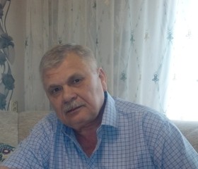 Владимир, 70 лет, Саранск