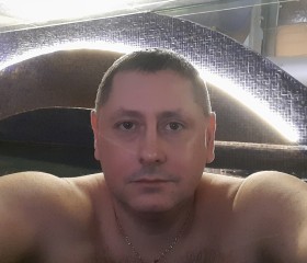 Денис, 41 год, Санкт-Петербург
