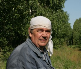 Олег, 73 года, Бор