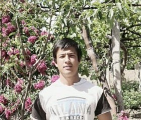 Lion, 26 лет, Душанбе