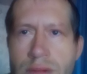 Александр Кушнар, 42 года, Райчихинск