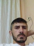 hakan ozdemir, 39 лет, Afyonkarahisar