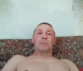Владимир, 52 года, Сернур