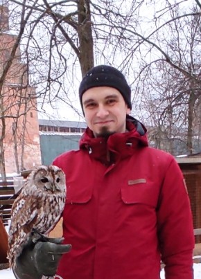 Nikolay, 34, Russia, Velikiy Novgorod