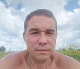 Александр, 40 лет, Щёлково