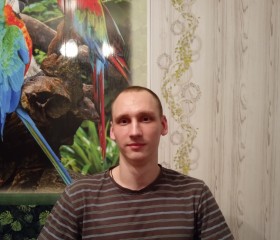 Николай, 27 лет, Ворсма