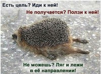 Открыть в полном размере