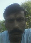Sanjay, 31 год, Ahmedabad