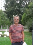 владимир, 65 лет, Саратов