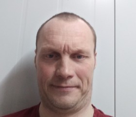Дима, 44 года, Бежецк