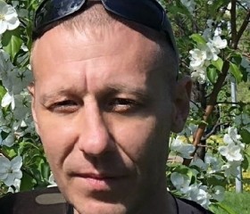 Павел Лариончев, 42 года, Тольятти