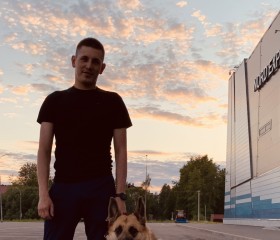 Андрей, 27 лет, Архангельск