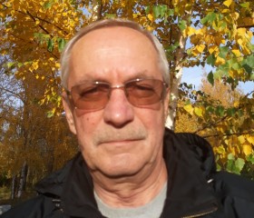 Ник, 69 лет, Кстово